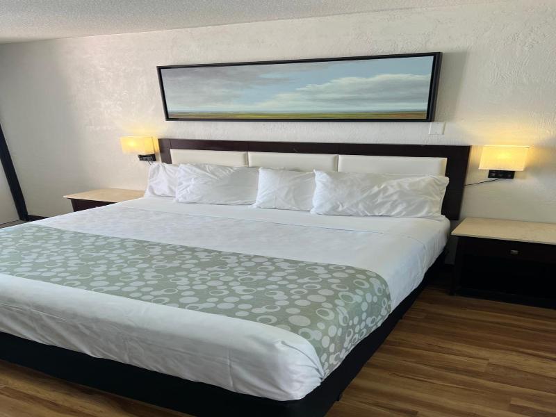 Flamingo Inn image