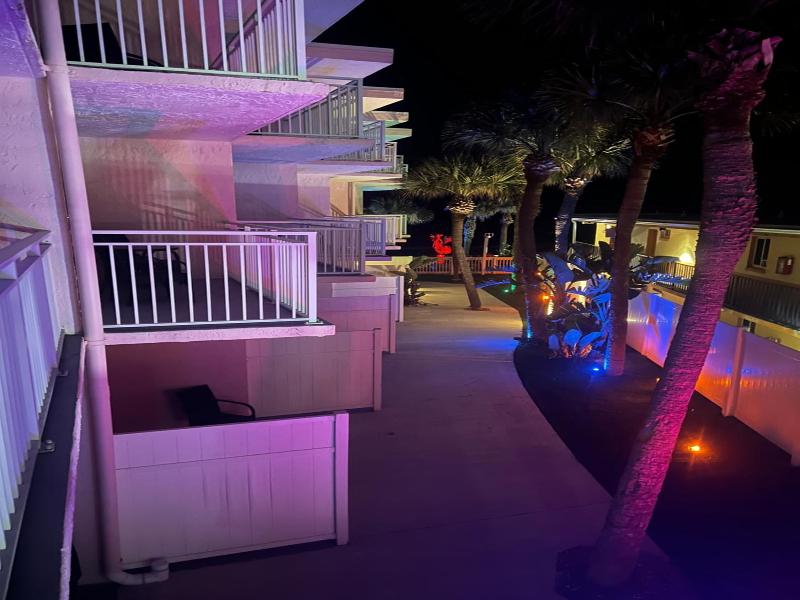 Flamingo Inn image