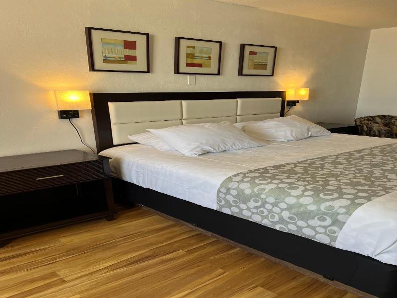 Flamingo Inn image