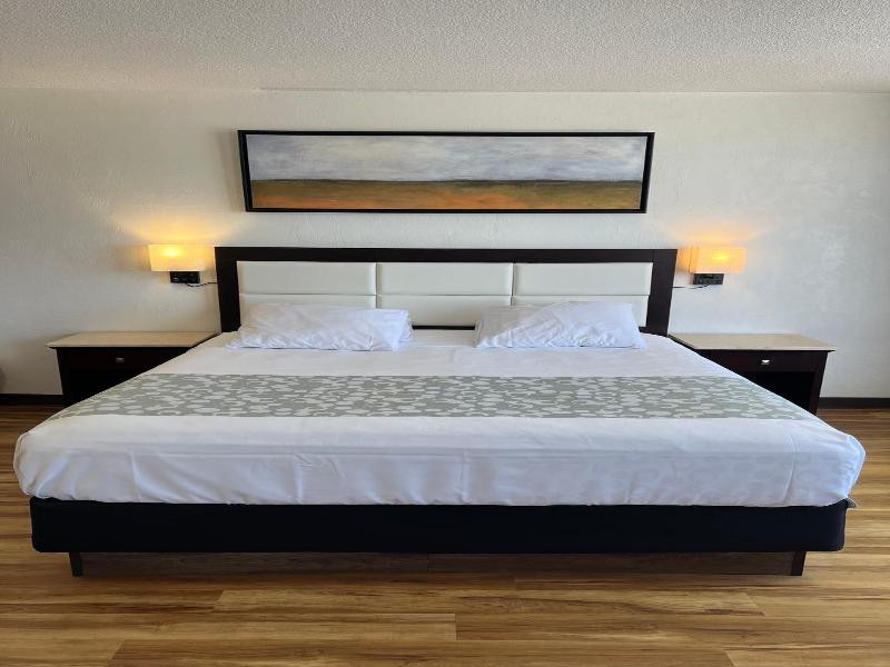 Flamingo Inn image