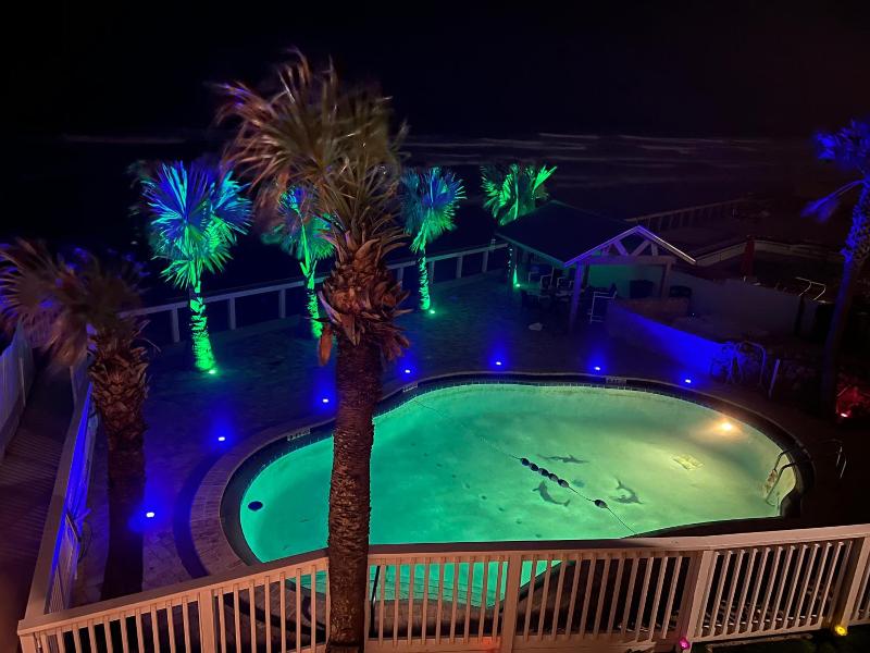 Flamingo Inn image