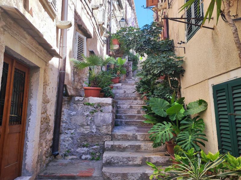 House Katarina - Old town image