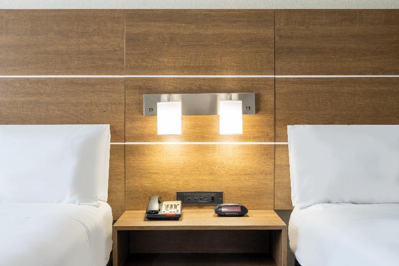 Holiday Inn Express Dallas East- Fairpark image