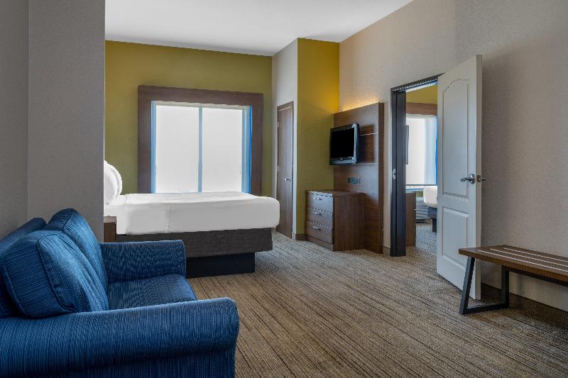 Holiday Inn Express Dallas East- Fairpark image