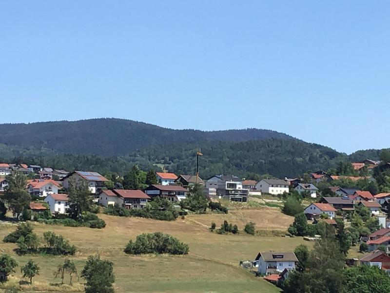 Schmaus image