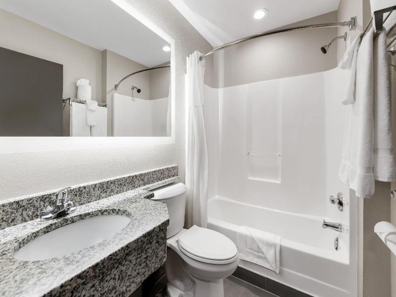 Microtel Inn & Suites Greenville By Wyndham image
