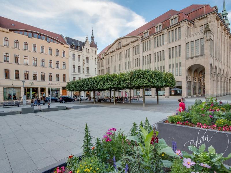 Akzent Am Goldenen Strauss image
