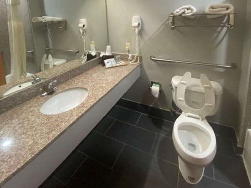 Tropicana Inn and Suites image