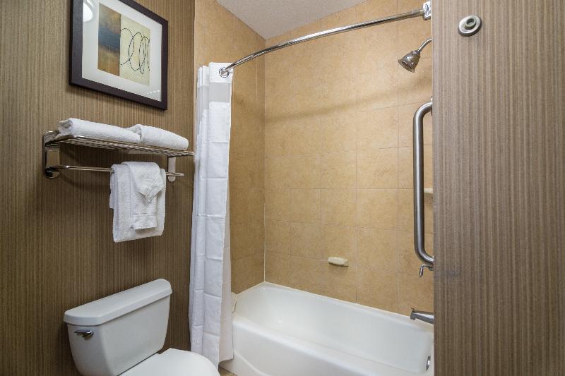 Holiday Inn Arlington Ne-Rangers Ballpark image