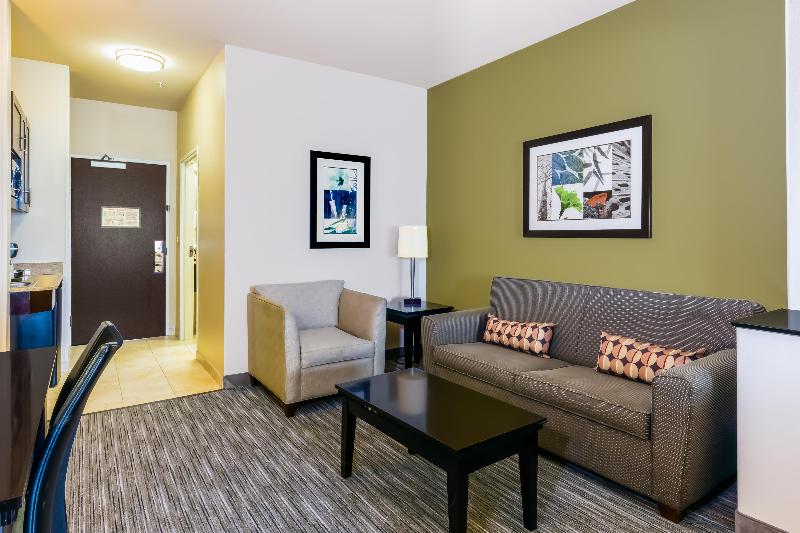 Hotel Holiday Inn Express Hotel & Suites Dallas West