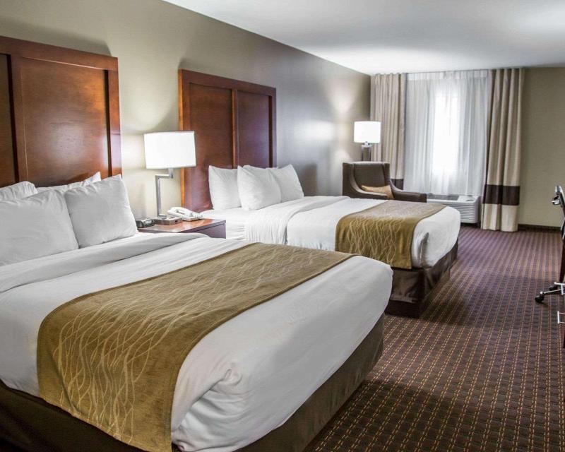 Comfort Inn & Suites Riverview image