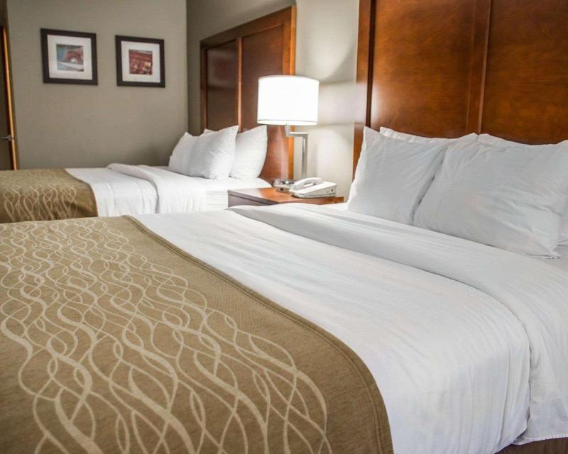 Comfort Inn & Suites Riverview image