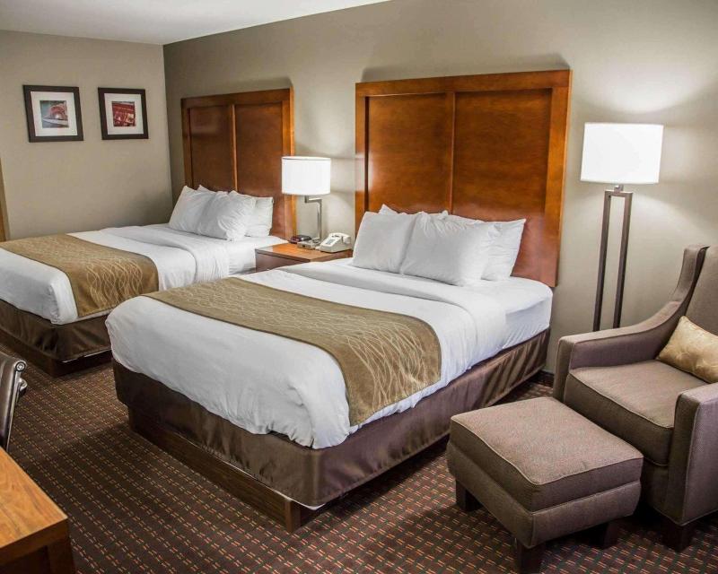 Comfort Inn & Suites Riverview image