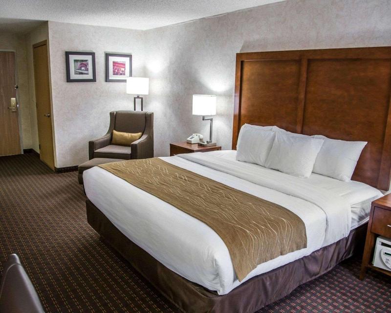 Comfort Inn & Suites Riverview image