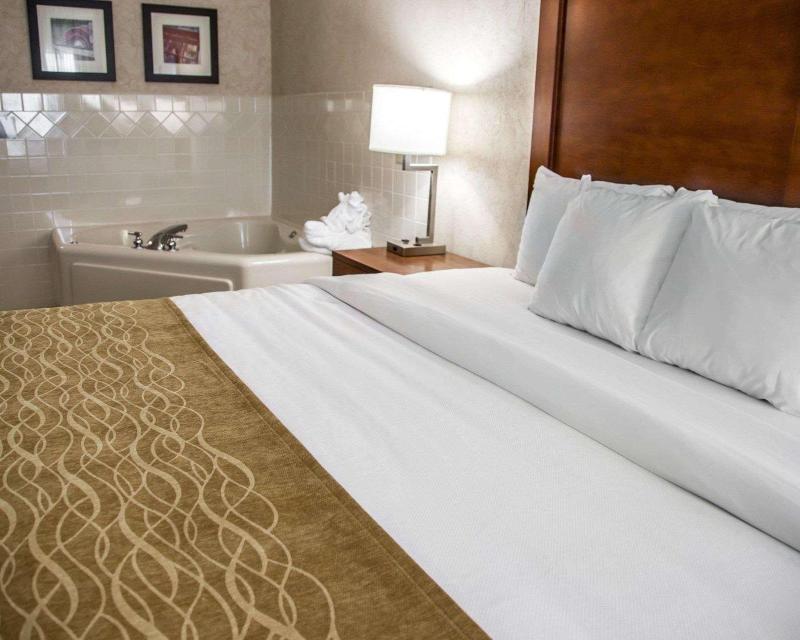 Comfort Inn & Suites Riverview image