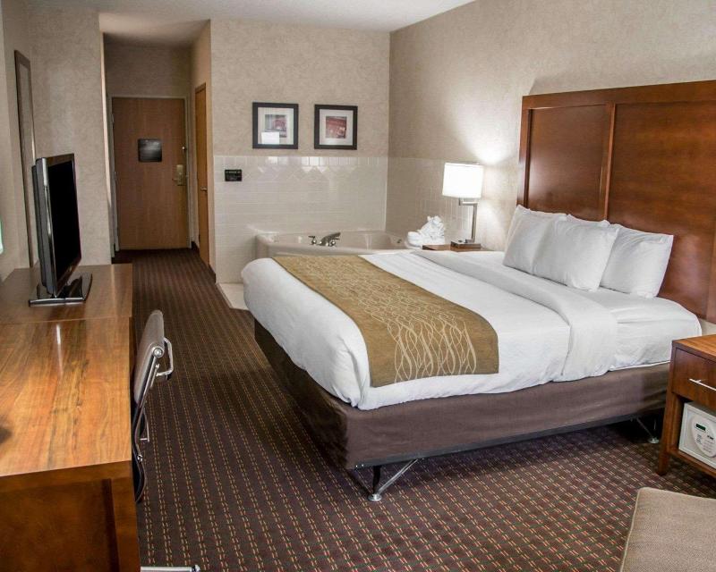 Comfort Inn & Suites Riverview image