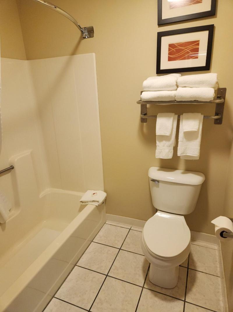 Comfort Inn & Suites Riverview image