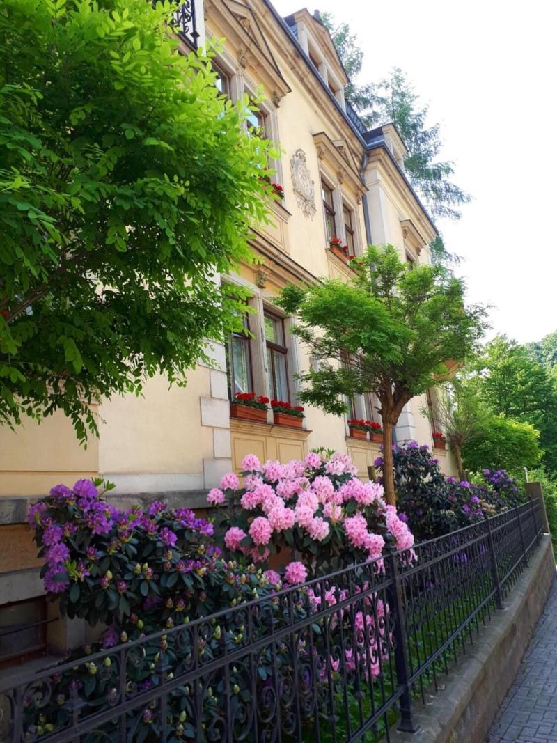 Gästehaus Loschwitz image