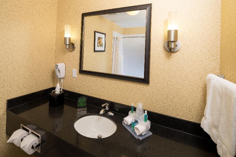 Holiday Inn Express Suites Detroit North Troy IHG photo 17