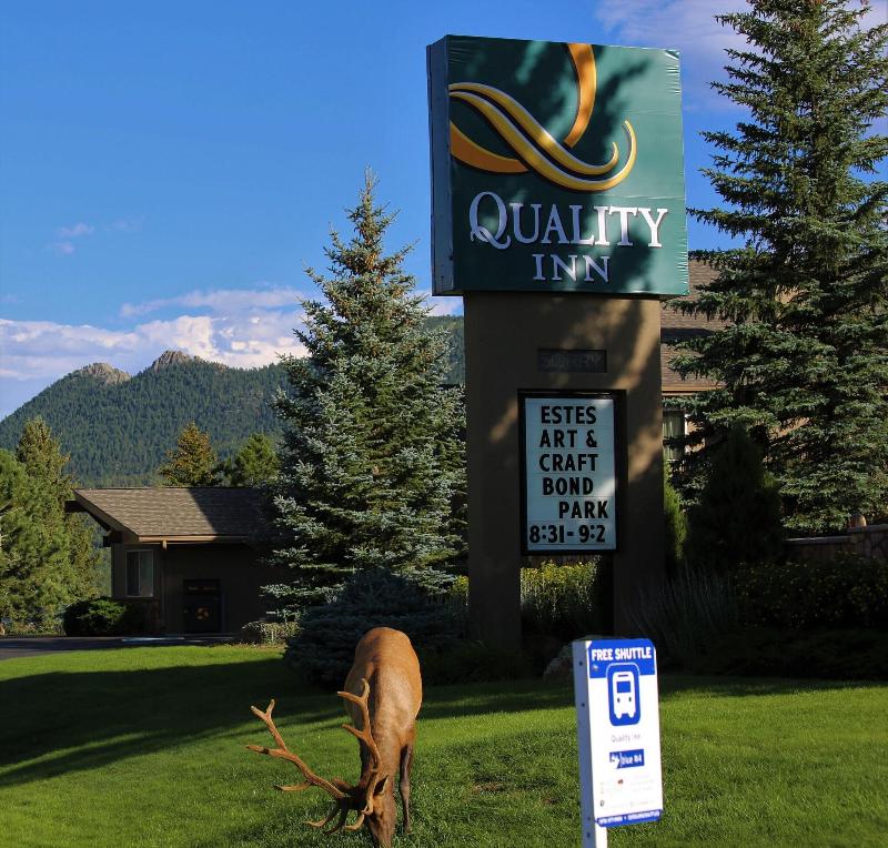 Quality Inn near Rocky Mountain National Park image