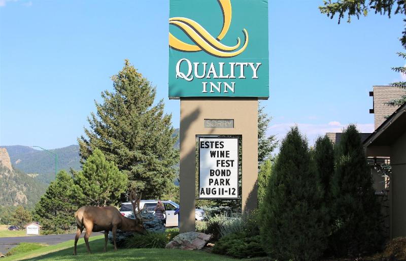 Quality Inn near Rocky Mountain National Park image