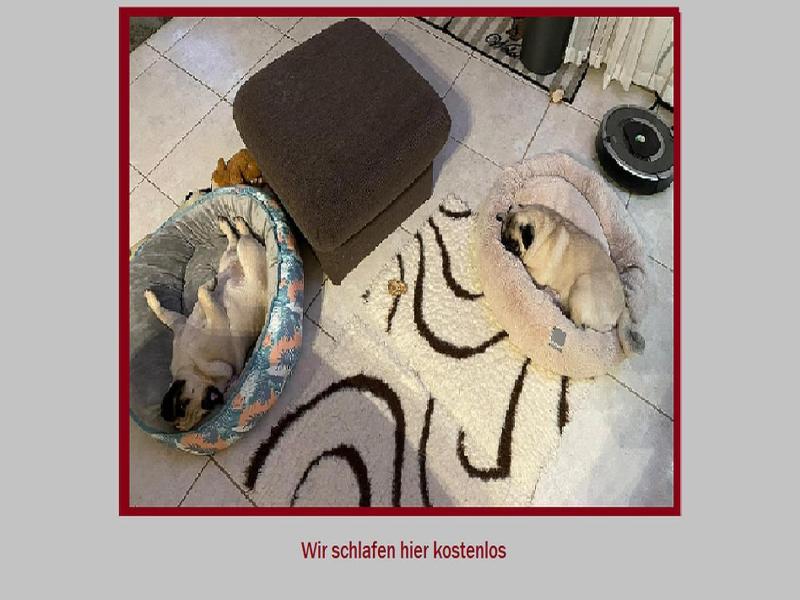 Rheinischer Hof image