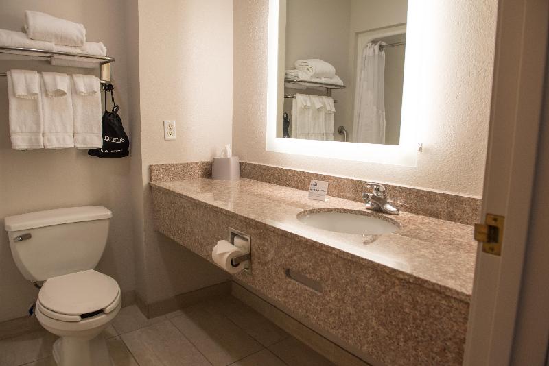 Holiday Inn Express & Suites Elkhart-South photo 20