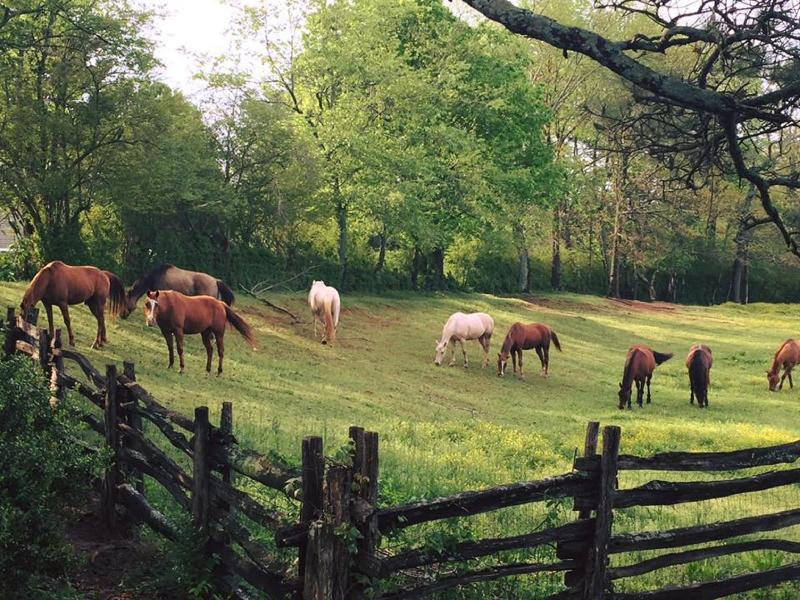 Seventy-four Ranch image