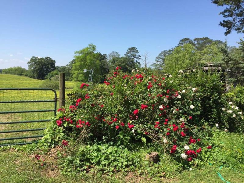 Seventy-four Ranch image