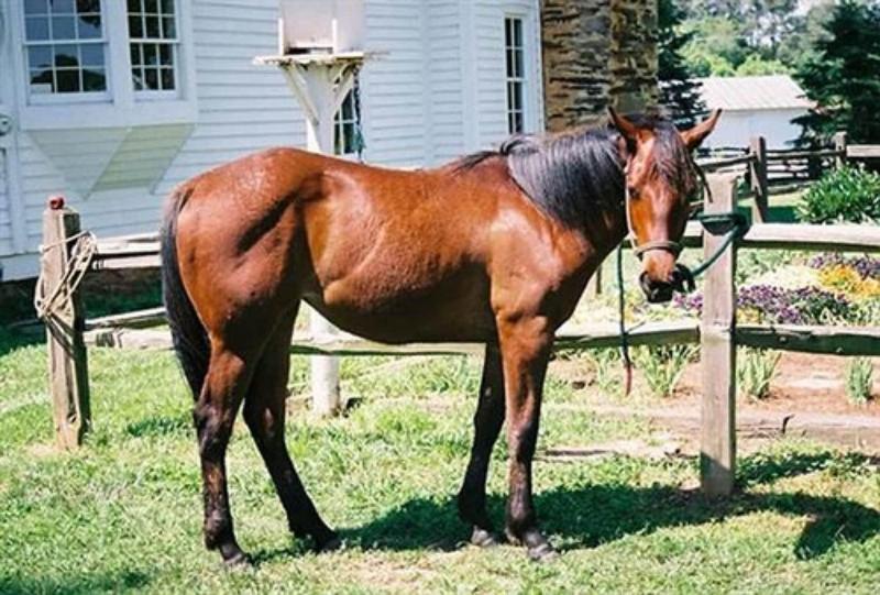 Seventy-four Ranch image