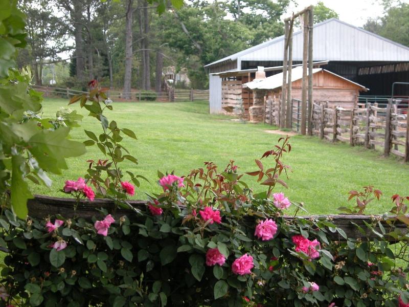 Seventy-four Ranch — exterior view