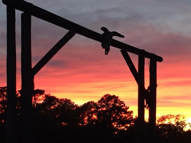 Seventy-four Ranch image