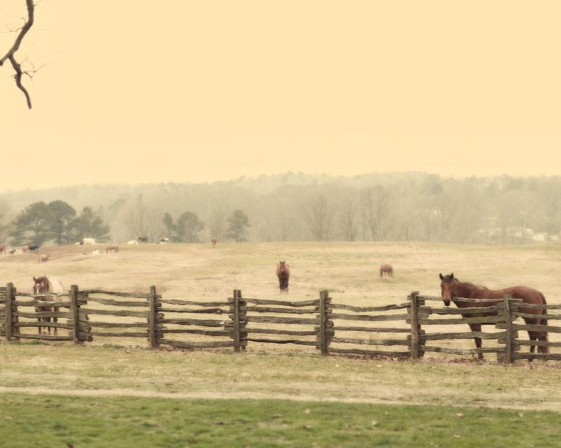Seventy-four Ranch image
