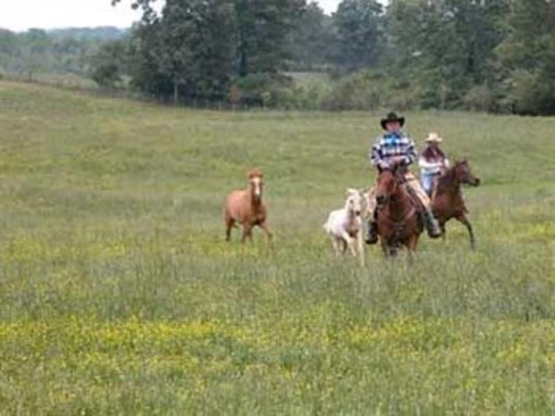Seventy-four Ranch image