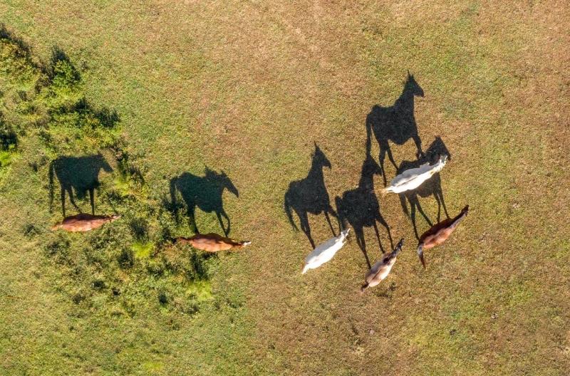 Seventy-four Ranch image