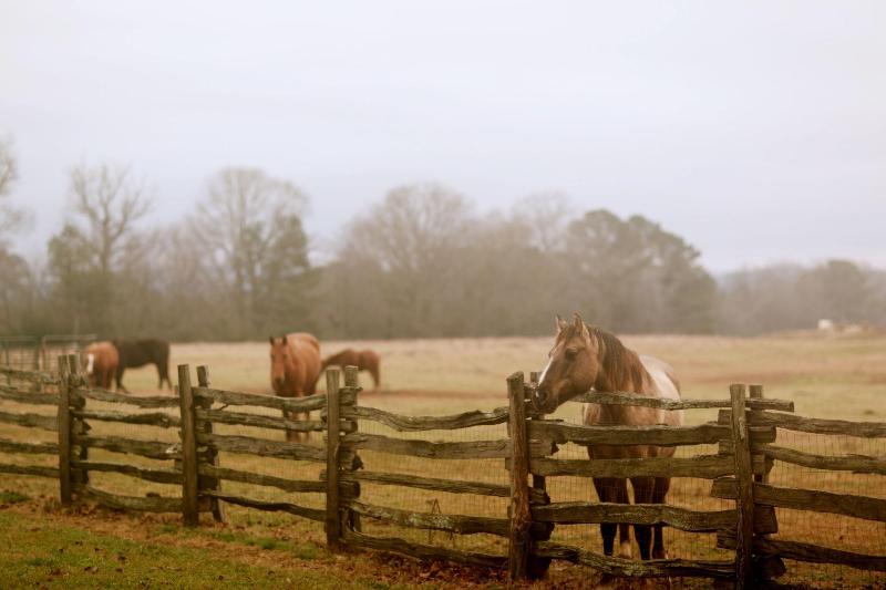 Seventy-four Ranch image