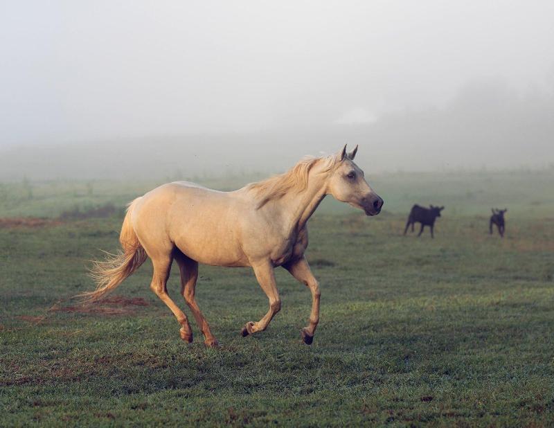 Seventy-four Ranch image