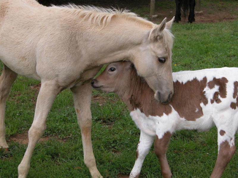 Seventy-four Ranch image