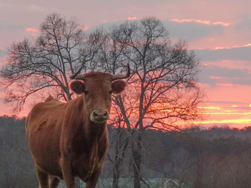 Seventy-four Ranch image