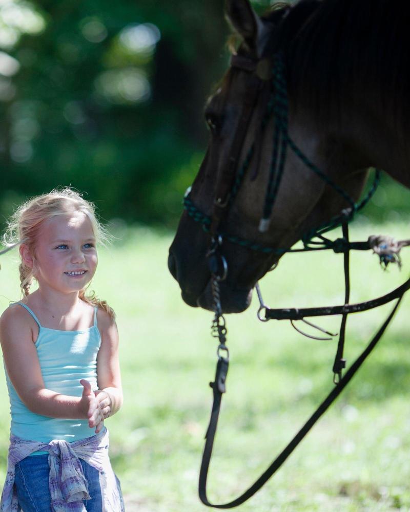 Seventy-four Ranch image
