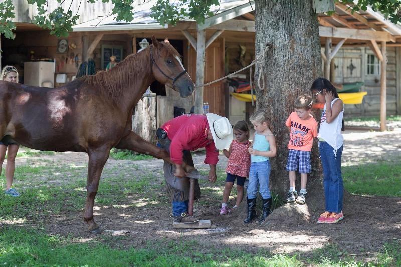 Seventy-four Ranch image