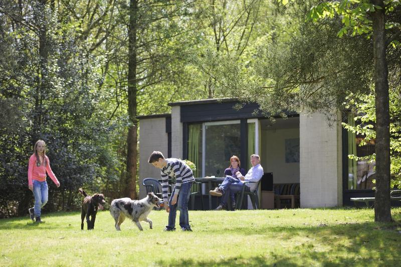 Center Parcs De Kempervennen image