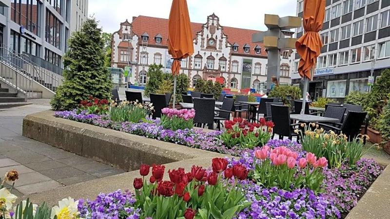 Kölner Hof image