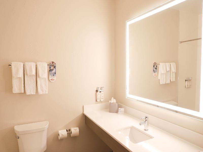 Holiday Inn Express & Suites Douglas image