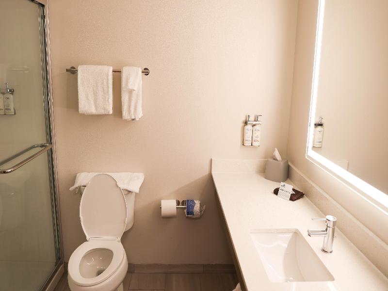 Holiday Inn Express & Suites Douglas image