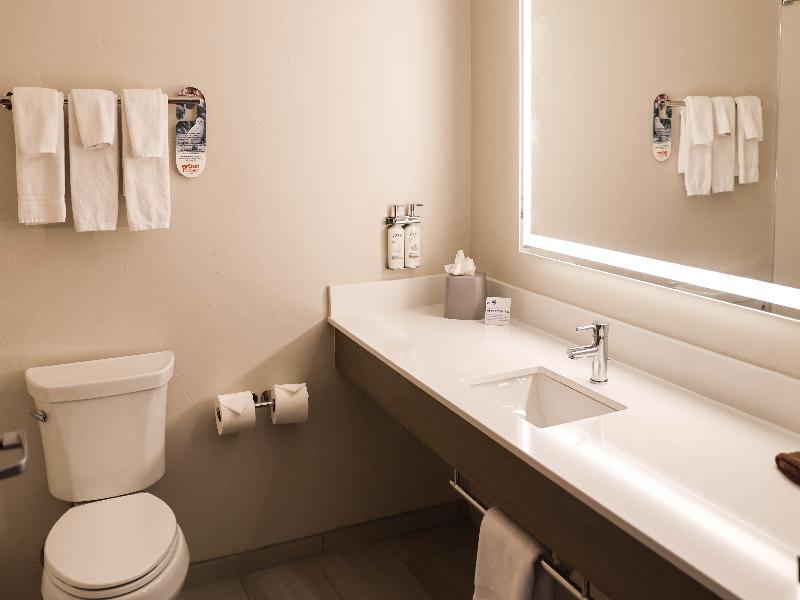 Holiday Inn Express & Suites Douglas image