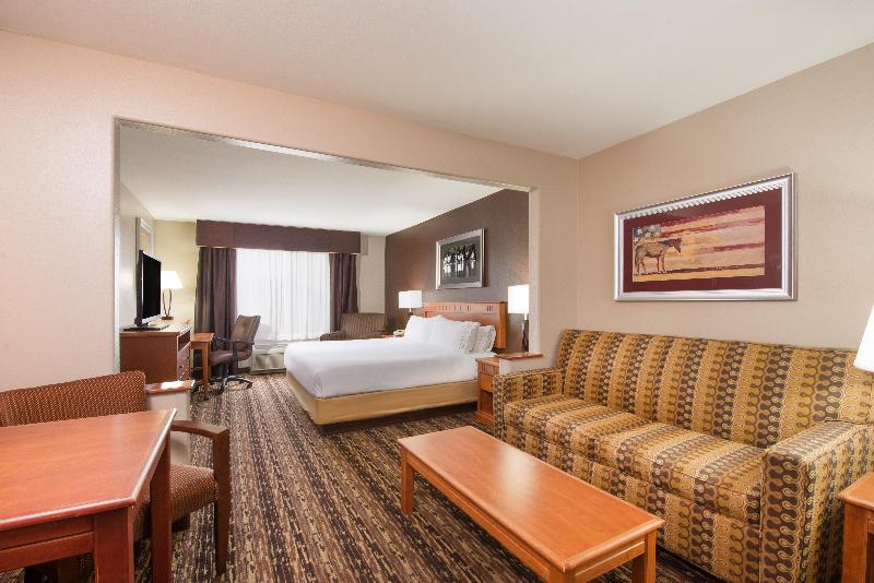 Hotel Holiday Inn Express & Suites Douglas