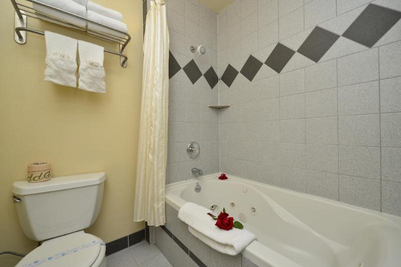 University Inn & Suites image