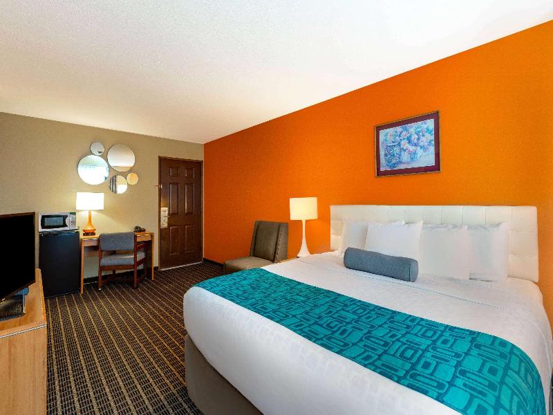1 King Bed, Pet-Friendly, Non-Smoking