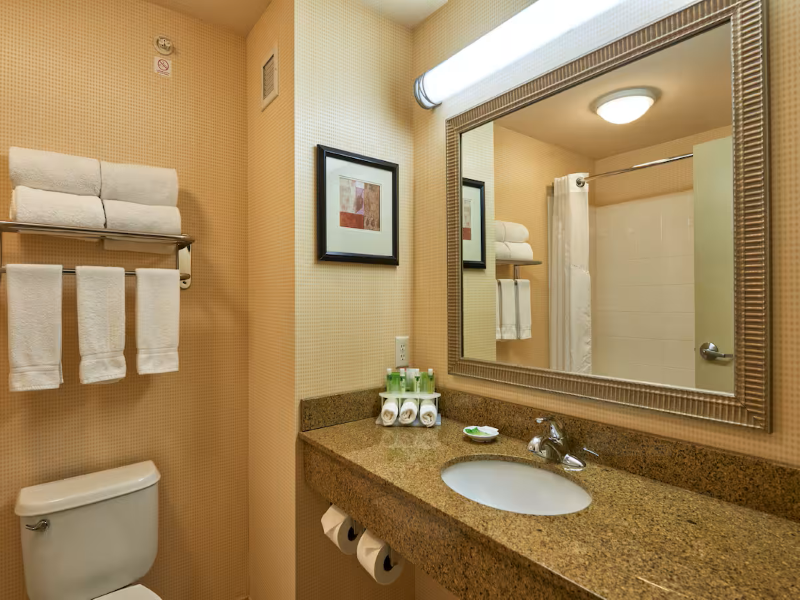 Holiday Inn Express Hotel & Suites El Paso Airport image
